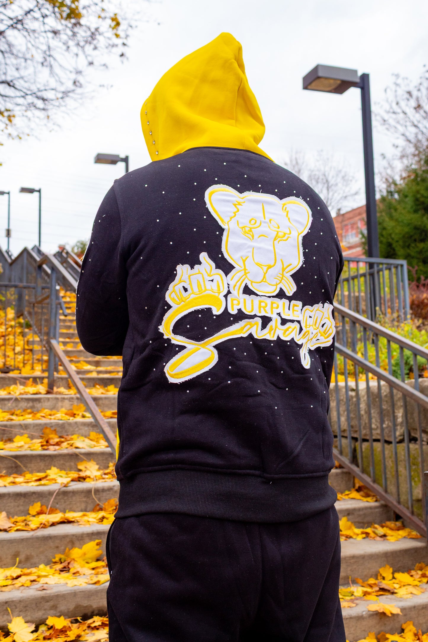 Rhinestone Jogger Set